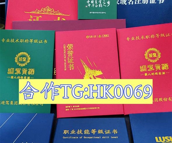定制制证